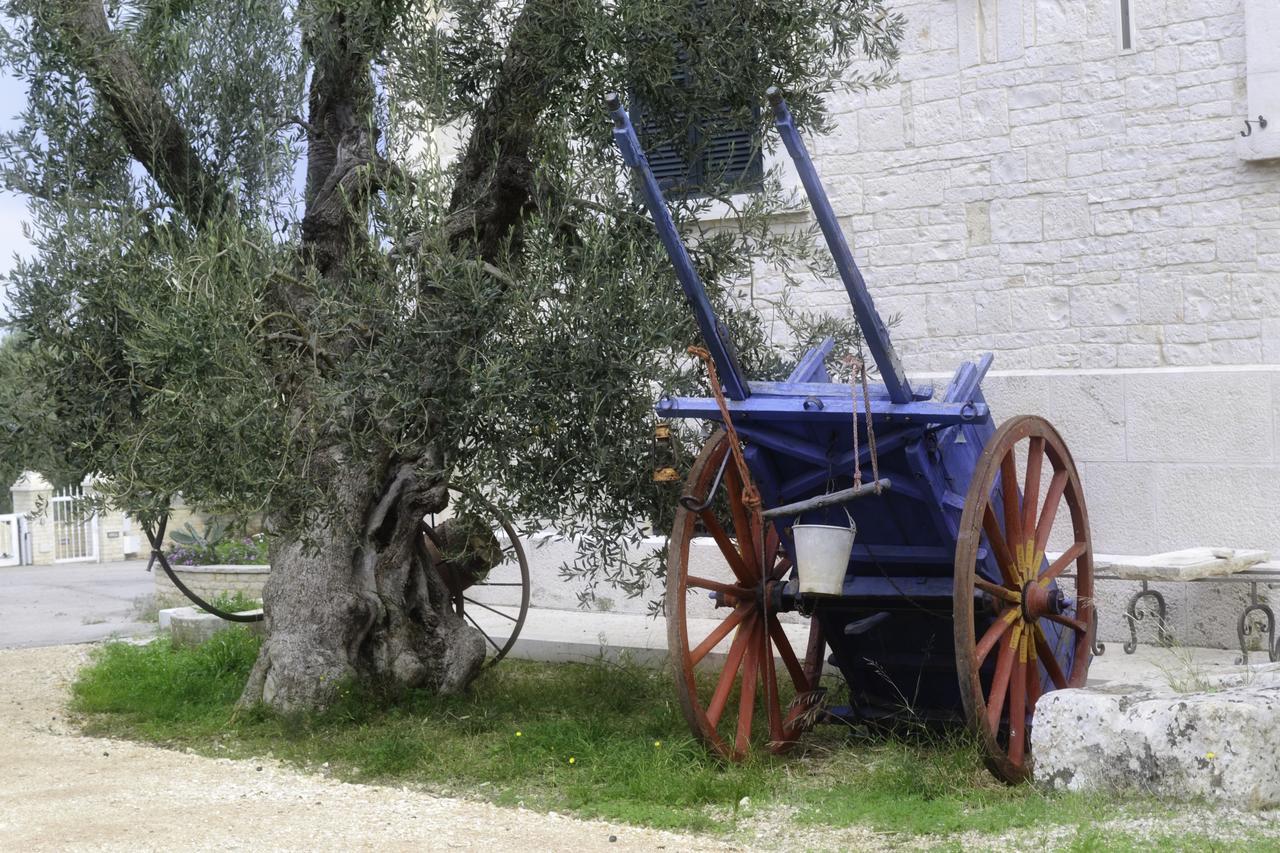 Tenuta Lama Gorga Trani Kültér fotó